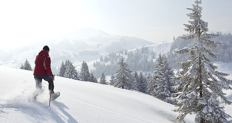 Schneeschuhwandern in Nationalpark Bayerischer Wald am Rachel und Lusen